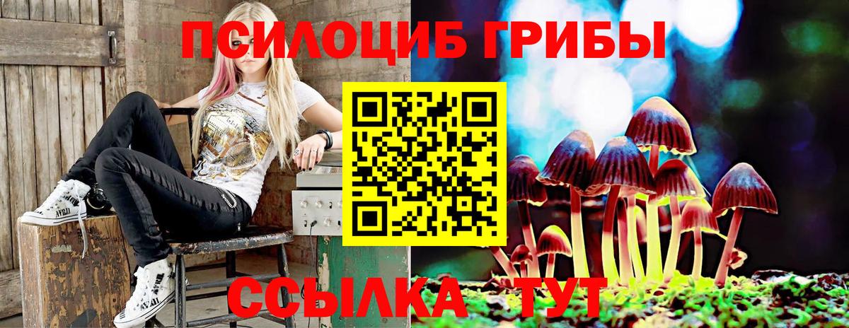 Галлюциногенные грибы Psilocybine cubensis  Вход с VPN  закладка  Галлюциногенные грибы мицелий  Сызрань 